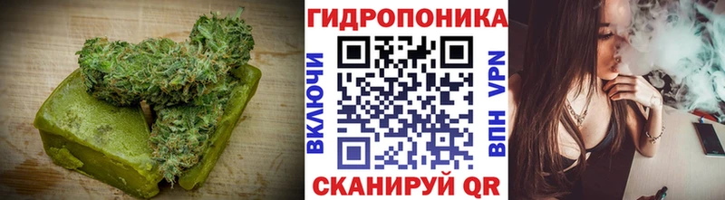 omg ONION  Томск  Canna-Cookies конопля 