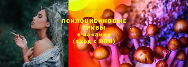 первитин Богородицк