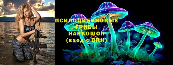 соль ск Богородск