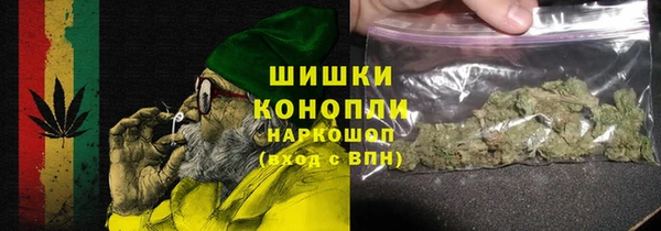 первитин Богородицк