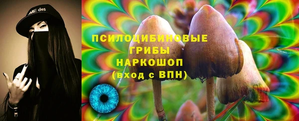 соль ск Богородск