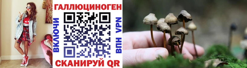 Галлюциногенные грибы ЛСД  хочу   Томск 